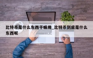 比特币是什么东西干嘛用_比特币到底是什么东西呢