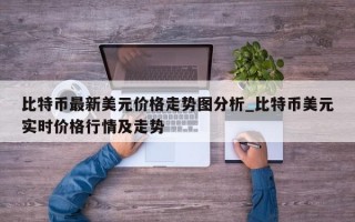 比特币最新美元价格走势图分析_比特币美元实时价格行情及走势