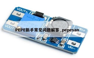 PEPE新手常见问题解答_pepesan