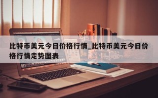 比特币美元今日价格行情_比特币美元今日价格行情走势图表