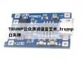 TRUMP公众演讲语言艺术_trump 口头禅