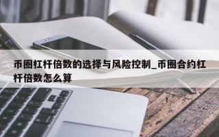 币圈杠杆倍数的选择与风险控制_币圈合约杠杆倍数怎么算