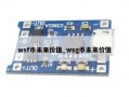 wsf币未来价值_wsg币未来价值