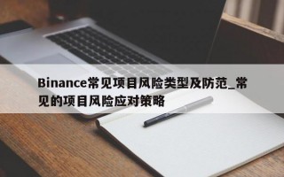Binance常见项目风险类型及防范_常见的项目风险应对策略