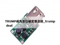 TRUMP成为首位被定罪总统_trump deal