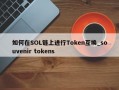 如何在SOL链上进行Token互换_souvenir tokens