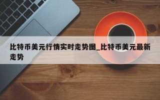 比特币美元行情实时走势图_比特币美元最新走势