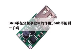 BNB币在公益事业中的作用_bnb币能到一千吗