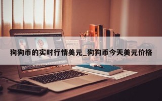 狗狗币的实时行情美元_狗狗币今天美元价格