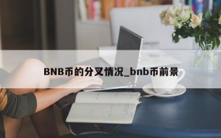 BNB币的分叉情况_bnb币前景