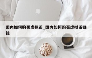 国内如何购买虚拟币_国内如何购买虚拟币赚钱