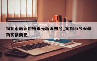 狗狗币最新价格美元新浪财经_狗狗币今天最新实情美元