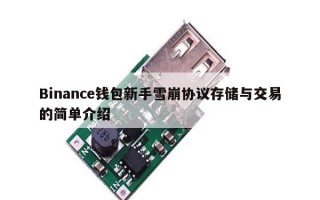 Binance钱包新手雪崩协议存储与交易的简单介绍