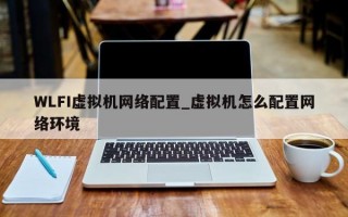 WLFI虚拟机网络配置_虚拟机怎么配置网络环境