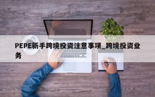 PEPE新手跨境投资注意事项_跨境投资业务