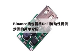 Binance钱包新手DeFi流动性提供步骤的简单介绍