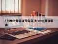TRUMP竞选口号含义_trump竞选歌曲