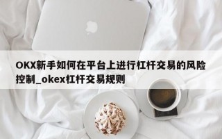 OKX新手如何在平台上进行杠杆交易的风险控制_okex杠杆交易规则