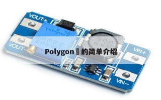 Polygon​的简单介绍