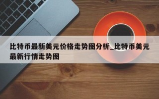 比特币最新美元价格走势图分析_比特币美元最新行情走势图