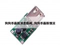 狗狗币最新消息新闻_狗狗币最新情况