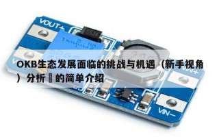 OKB生态发展面临的挑战与机遇（新手视角）分析​的简单介绍
