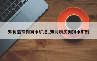如何选择狗狗币矿池_如何购买狗狗币矿机