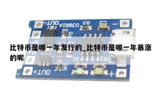 比特币是哪一年发行的_比特币是哪一年暴涨的呢