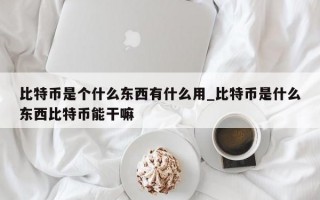 比特币是个什么东西有什么用_比特币是什么东西比特币能干嘛