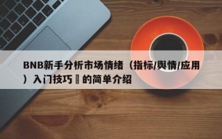 BNB新手分析市场情绪（指标/舆情/应用）入门技巧​的简单介绍