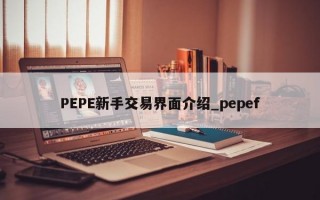 PEPE新手交易界面介绍_pepef