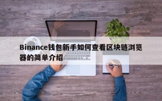 Binance钱包新手如何查看区块链浏览器的简单介绍
