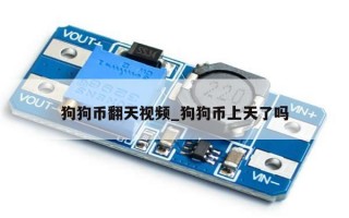 狗狗币翻天视频_狗狗币上天了吗