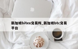 新加坡bitex交易所_新加坡btc交易平台