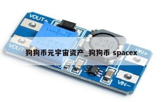 狗狗币元宇宙资产_狗狗币 spacex