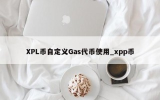 XPL币自定义Gas代币使用_xpp币