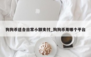 狗狗币适合日常小额支付_狗狗币用哪个平台