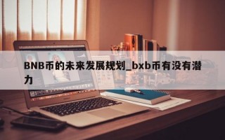 BNB币的未来发展规划_bxb币有没有潜力