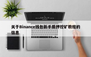 关于Binance钱包新手质押挖矿教程的信息