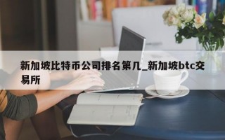 新加坡比特币公司排名第几_新加坡btc交易所