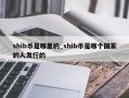 shib币是哪里的_shib币是哪个国家的人发行的