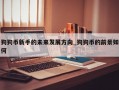 狗狗币新手的未来发展方向_狗狗币的前景如何