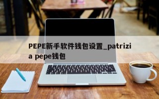 PEPE新手软件钱包设置_patrizia pepe钱包
