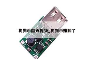 狗狗币翻天视频_狗狗币赚翻了