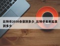 比特币2030会涨到多少_比特币未来能涨到多少