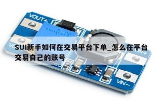 SUI新手如何在交易平台下单_怎么在平台交易自己的账号