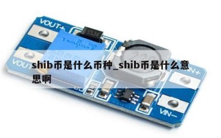 shib币是什么币种_shib币是什么意思啊