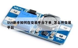 SUI新手如何在交易平台下单_怎么开交易平台