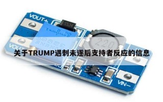 关于TRUMP遇刺未遂后支持者反应的信息