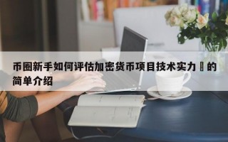 币圈新手如何评估加密货币项目技术实力​的简单介绍